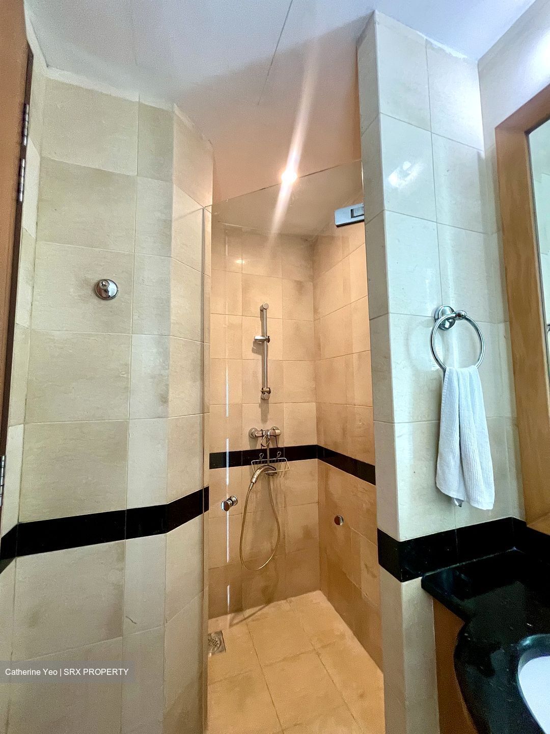 Cuscaden Residences (D10), Condominium #550324501